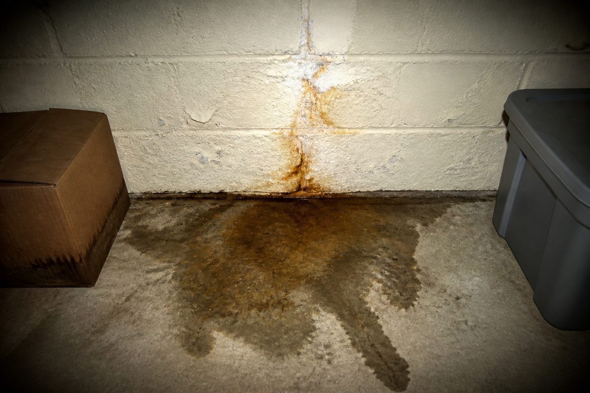 Water staining and efflorescence where a basement block wall meets the concrete floor
